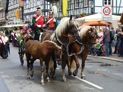 2012-07 Landestreffen Bütgerwehren (73)